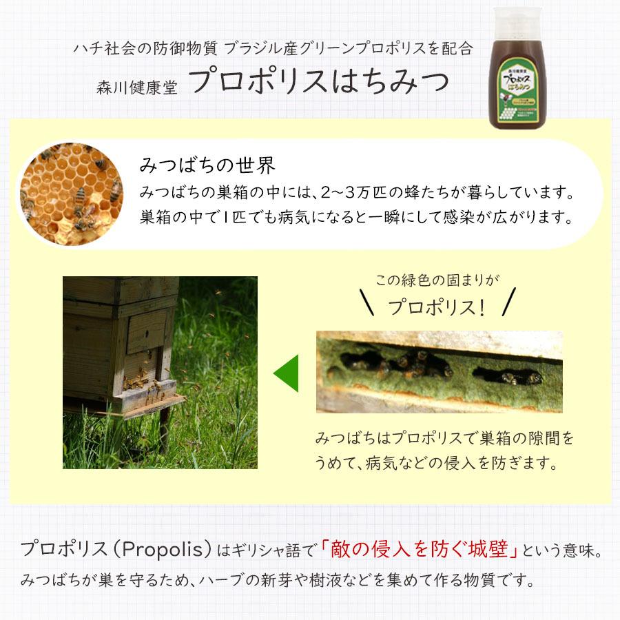 捧呈 森川健康堂 プロポリスはちみつ 300g プロポリス はちみつ 百花蜜 蜂蜜 ハチミツ効能効果 睡眠 容器 便利 送料無料 Wantannas Go Id