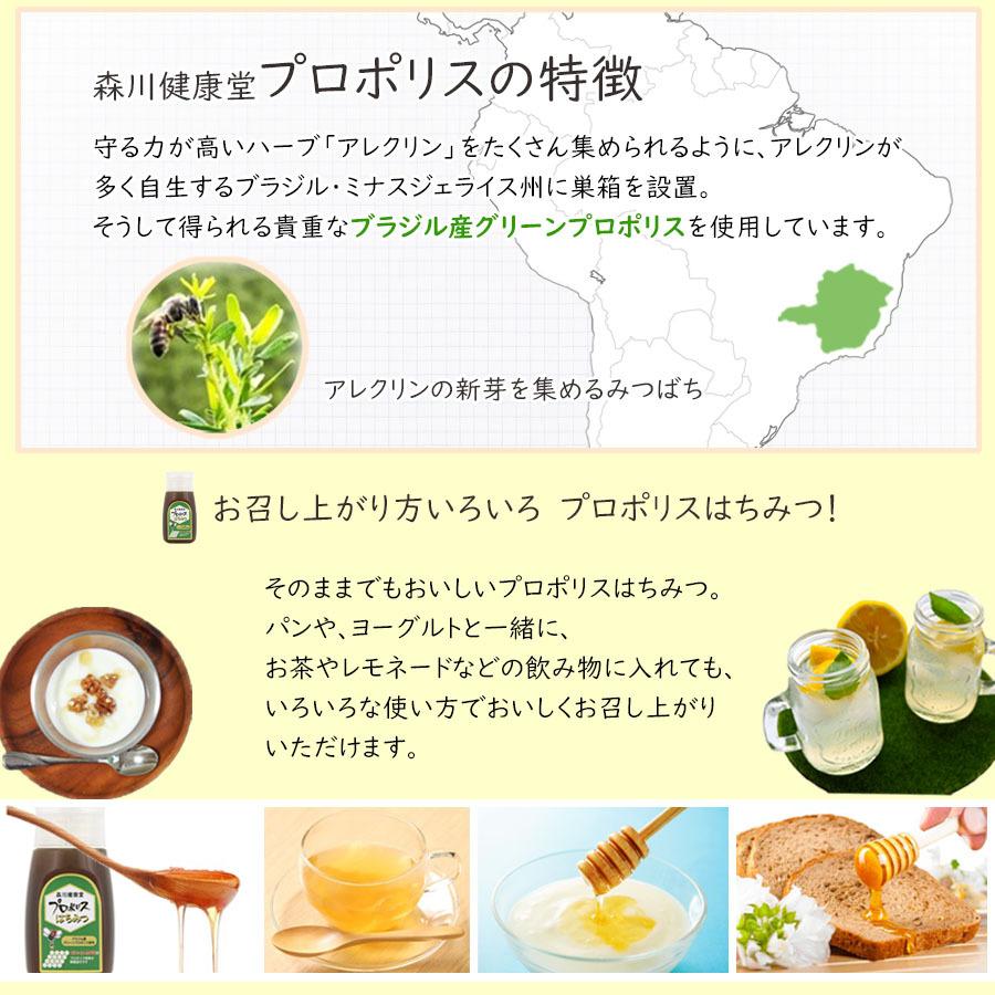 捧呈 森川健康堂 プロポリスはちみつ 300g プロポリス はちみつ 百花蜜 蜂蜜 ハチミツ効能効果 睡眠 容器 便利 送料無料 Wantannas Go Id