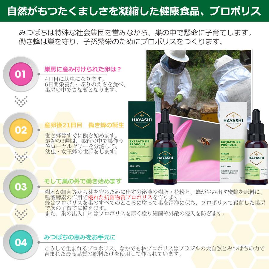 林プロポリス エクストラ プロポリス 林スペシャル グリーンプロポリス エキス 30ml ブラジル産 プロポリス液体 送料無料|a-bic|04