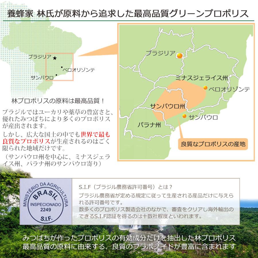 林プロポリス エクストラ プロポリス 林スペシャル グリーンプロポリス エキス 30ml ブラジル産 プロポリス液体 送料無料|a-bic|05