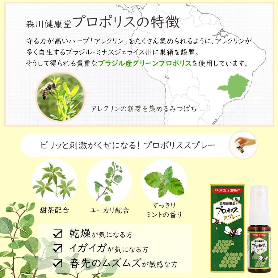日本の職人技 宅急便 送料無料 12本セット ml プロポリススプレー 森川健康堂 携帯に便利 手軽にスプレーできるプロポリス サプリメント Nchsurat Org