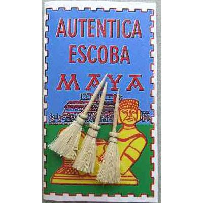 マヤのホウキ | 