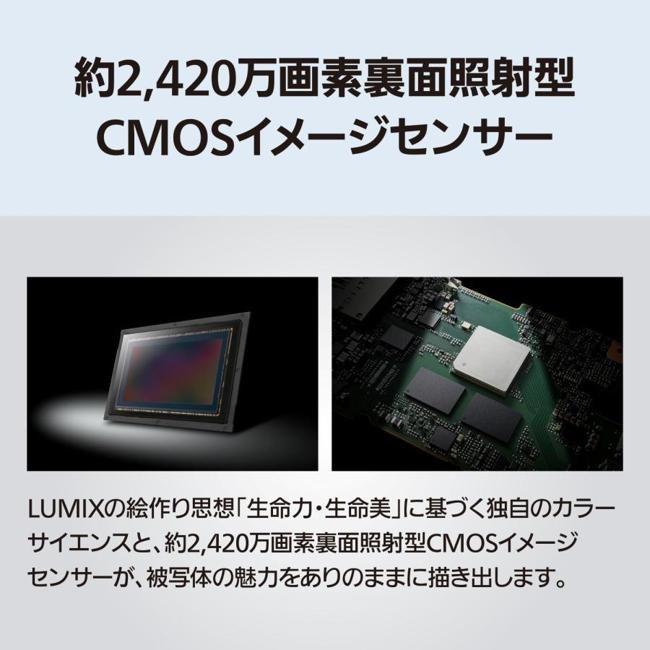 【最短当日出荷】 デジタルカメラ デジカメ カメラ パナソニック ミラーレス一眼カメラ LUMIX DC-S1M2ES ボディの画像