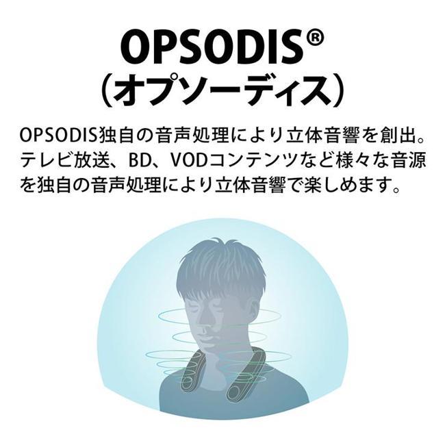 SHARP（シャープ） スピーカー・コンポ・ラジカセ AN-SX8 【即日発送