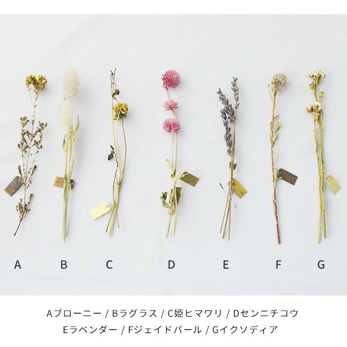 PICUS ハーバリウム ブラス グラスドーム&フラワーベース 錆 ドライ