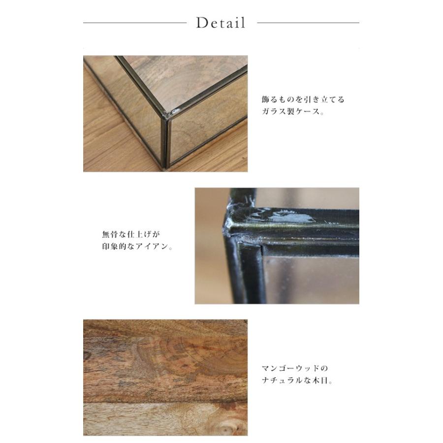 ディスプレイキャビネット L 『ガラス アイアン 店舗什器 ウッド ディスプレイキャビネット L 『ガラス アイアン 店舗什器 ウッド