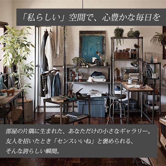ERECTA（エレクター） ワイヤーシェルフ用アクリル板 クリア 1枚 幅