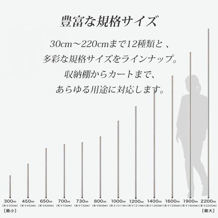ERECTA（エレクター） エレクターポール 2本セット 100cm ベーシック