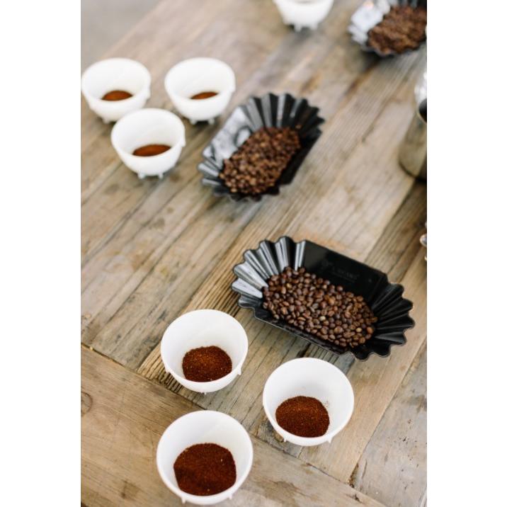 バリスタハッスルザ・カッピングボウルズ Barista Hustle The Cupping 