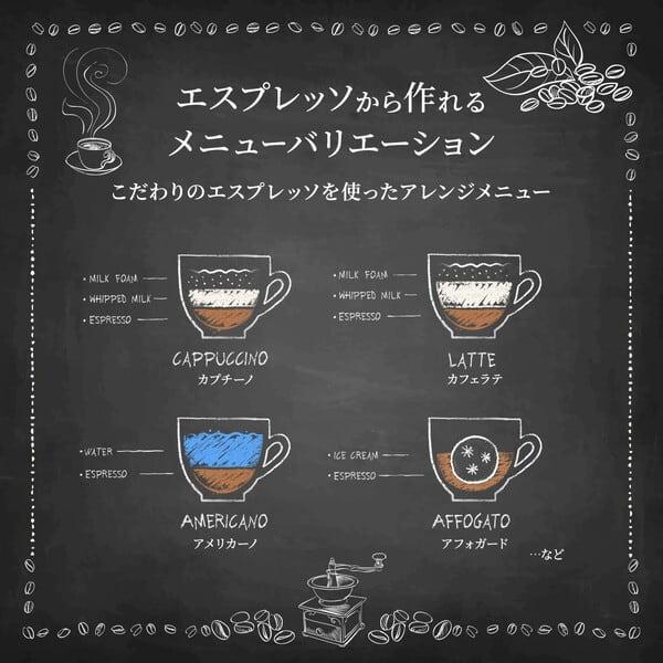 GAGGIA ガジア CLASSIC evo pro クラシック エボ プロ セミオートエスプレッソマシン メーカー保証5年 家庭用の画像