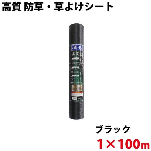 あす楽対応  【M7ELDT94H2C】 限定デザイン