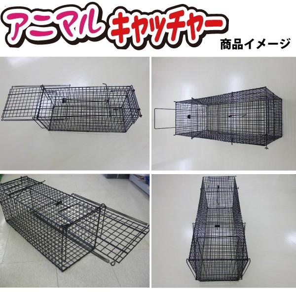 送料無料　個人宅OK シンセイ アニマルキャッチャー （Lサイズ） TA-36 シンセイ アニマルキャッチャーLサイズ TA-36 代引不可 北海道・九州