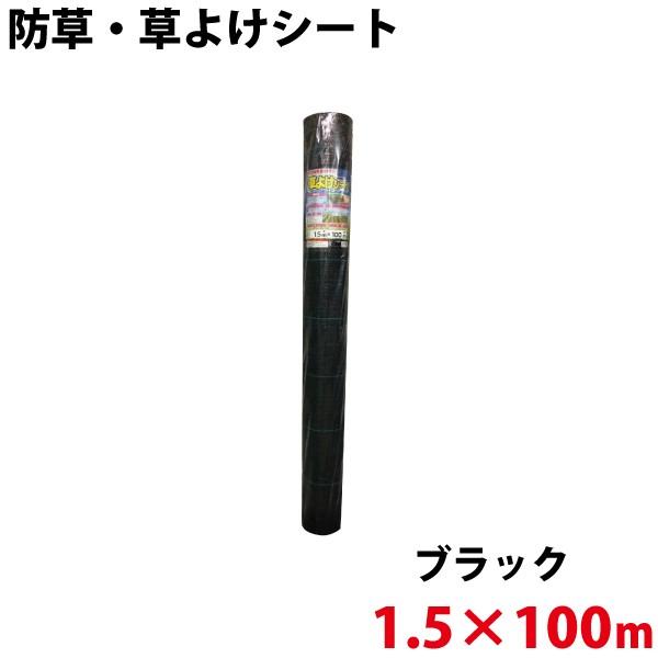 【F.C.Real Bristol TRAINING TRACK JACKET】 ふるさと納税 磐田市 トレジャーBOXのフラワーアレンジメント