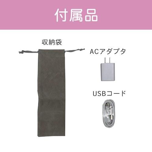 丸隆 LAVIEL Cordless（ラヴィエルコードレス）コードレスブラシ