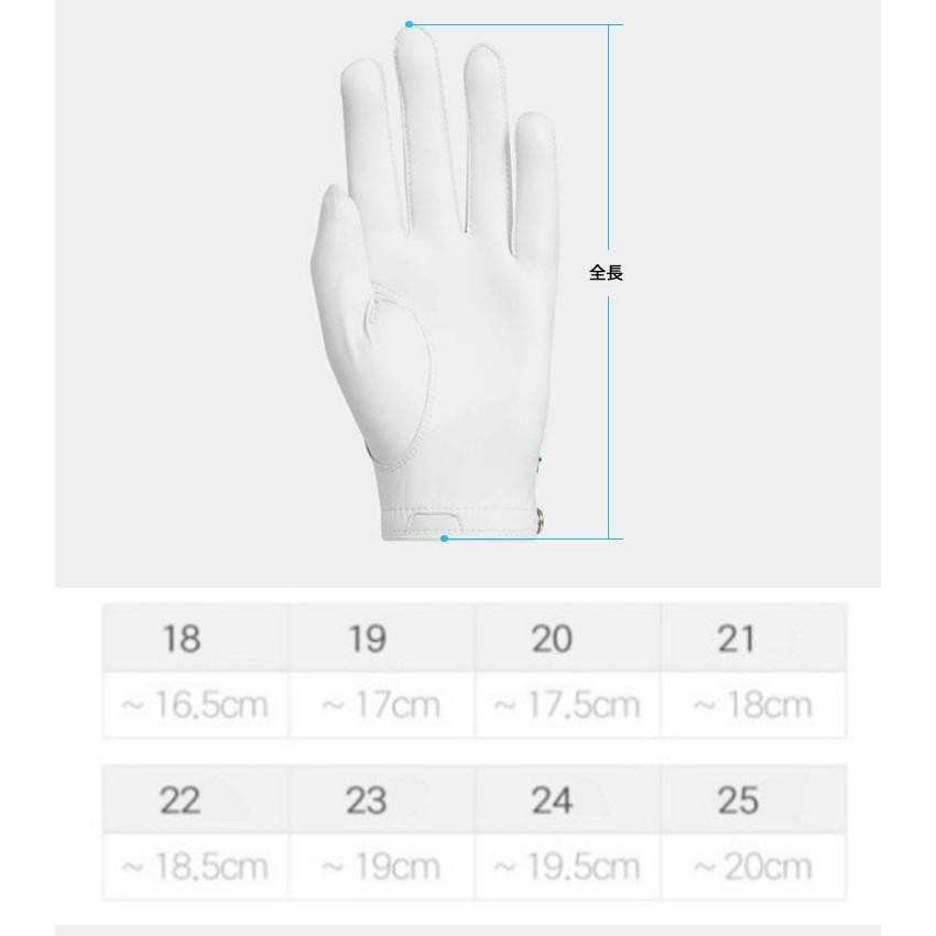 adidas（アディダス） adidas Originals ゴルフ OG GOLF LEATHER GLOVE