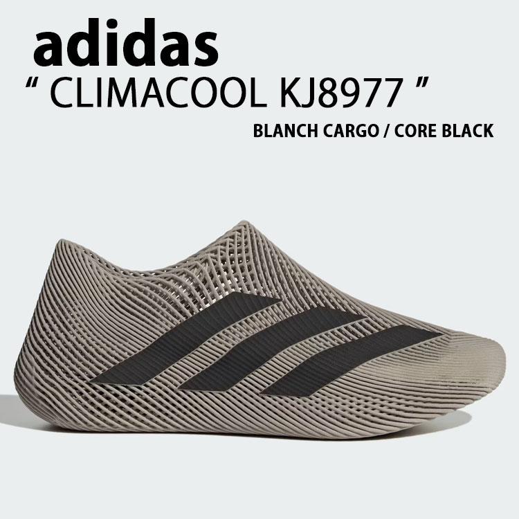 ❣️期間限定価格❣️【EMPORIO ARMANI】カシュクールカーデ M L Amazon.co.jp: Emporio Armani Black & White Altura Sneakers X8X113