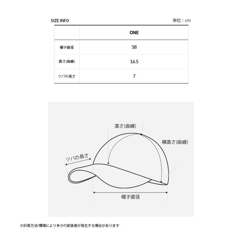 The North Face BL Logo Cap デニム 帽子 キャップ 7 The North Face BL Logo Cap デニム 帽子 キャップ 7 - 帽子 - 帽子