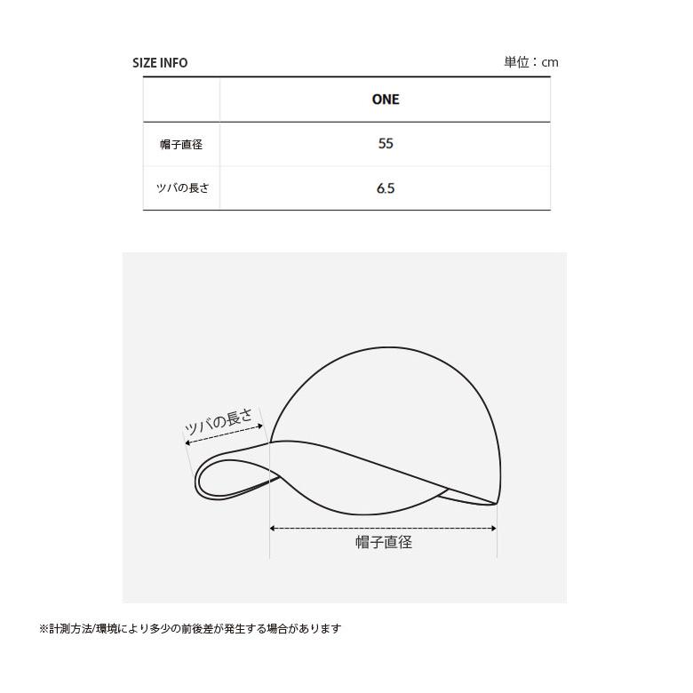 THE NORTH FACE ノースフェイス キッズ ベースボールキャップ KIDS K'S HANGEUL CAP ハングル キャップ 帽子 ロゴ 男の子 女の子 子供用 NE3CR10R/Sの画像