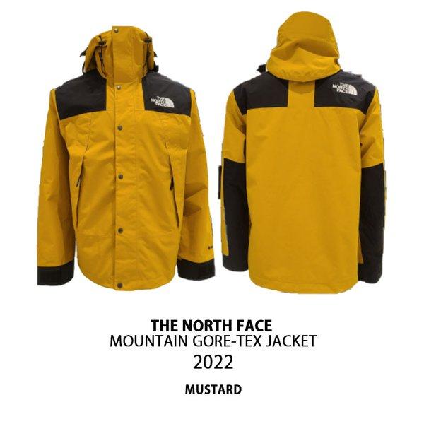 THE NORTH FACE ノースフェイス マウンテン ジャケット GTX