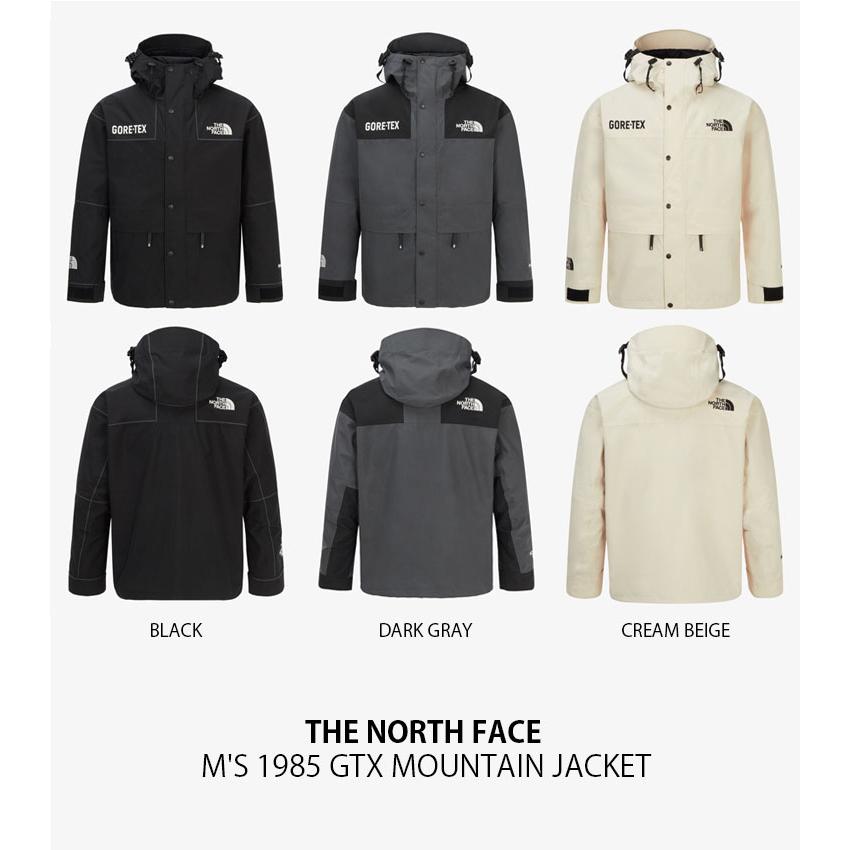 THE NORTH FACE GORE-TEX ブラウン マウンテンパーカーL THE NORTH FACE（ザ ノースフェイス） ノースフェイス マウンテン