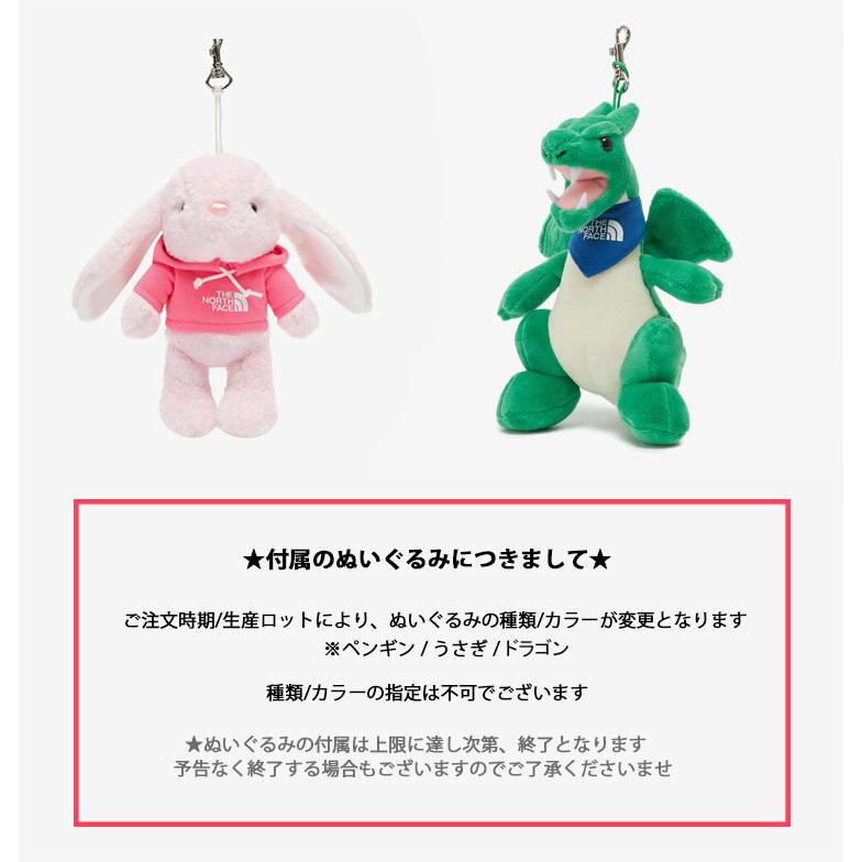 THE NORTH FACE（ザ ノースフェイス） ノースフェイス キッズ リュック