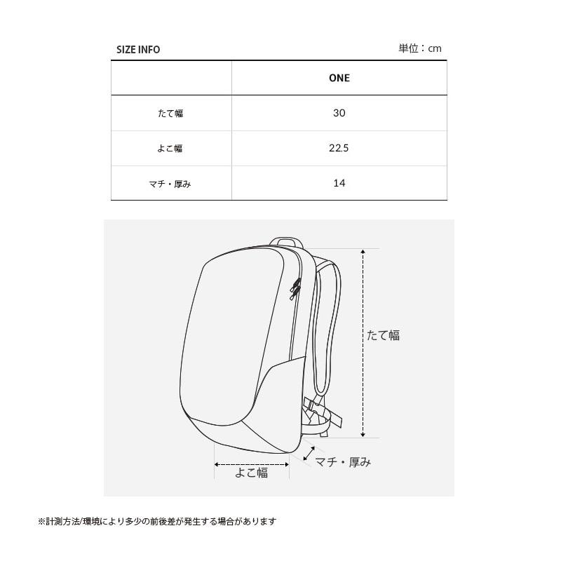THE NORTH FACE（ザ ノースフェイス） ノースフェイス キッズ リュック