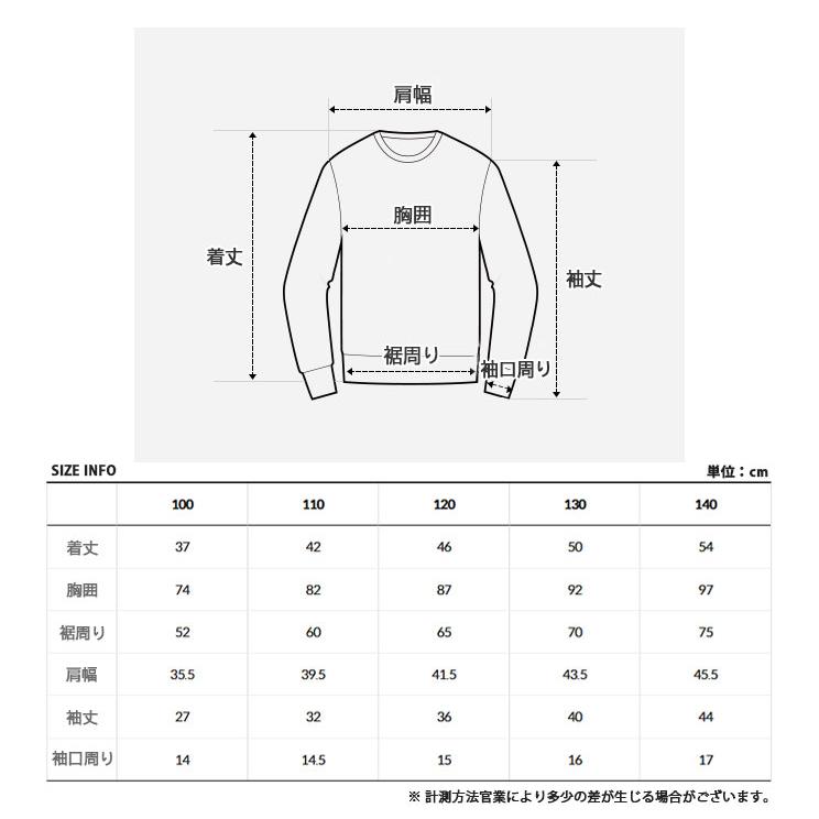 THE NORTH FACE ノースフェイス キッズ トレーナー K'S ANI-MATE SWEATSHIRTS アニ-メイト スウェットシャツ 長袖 ロゴ 男の子 女の子 子供用 NM5MR55S/T/U/V_13