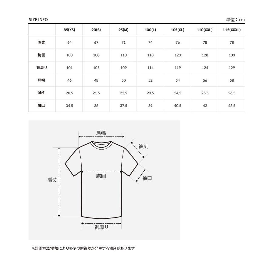 THE NORTH FACE ノースフェイス Tシャツ ONE EARTH S/S R/TEE ワン アース ショートスリーブ ティーシャツ 半袖 ロゴ メンズ レディース NT7UP05J/K/L/M/N/O｜a-dot｜16