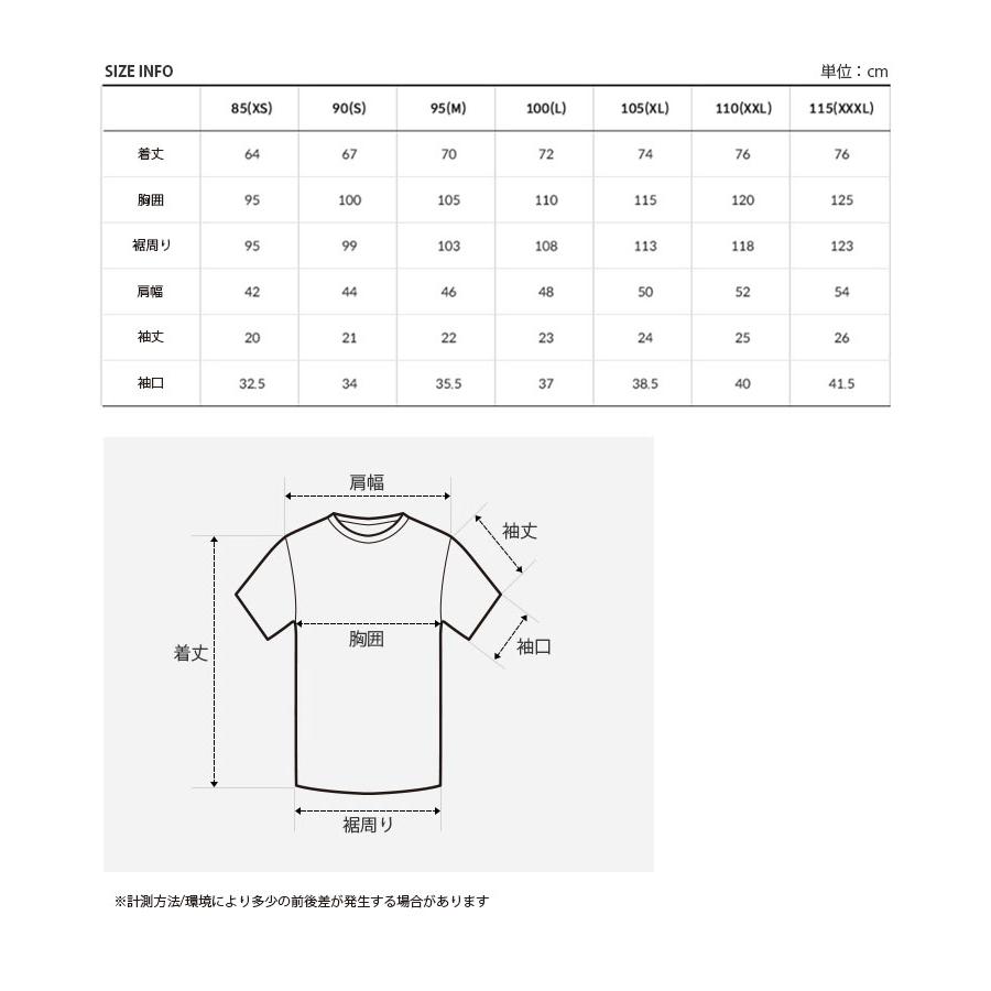 THE NORTH FACE（ザ ノースフェイス） ノースフェイス レディース T