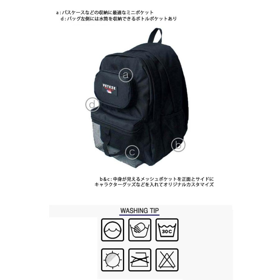 THE NORTH FACE（ザ ノースフェイス） VETEZE べテゼ バックパック