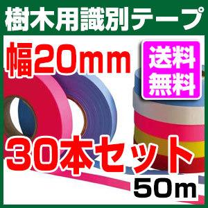 樹木用識別テープ 20mm 樹木用 測量 識別テープ　調査用 樹木 テープ 森林等に 非粘着テープ 7色 竹谷商事 30本セット｜a-e-shop925｜02