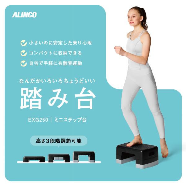 ALINCO（アルインコ） ミニステップ台 EXG250 脚 踏み台 昇降運動 有