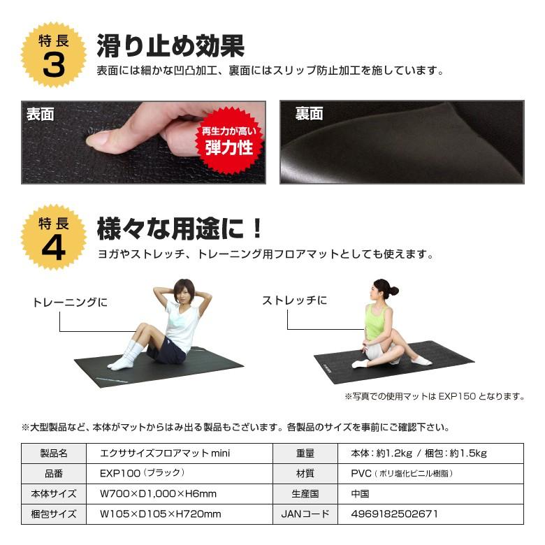 アルインコ(ALINCO) フィットネスバイク・エアロバイク AFB4024　＋　床面保護衝撃吸収マット ALINCO（アルインコ） フィットネスバイク ルームバイク ダイエット