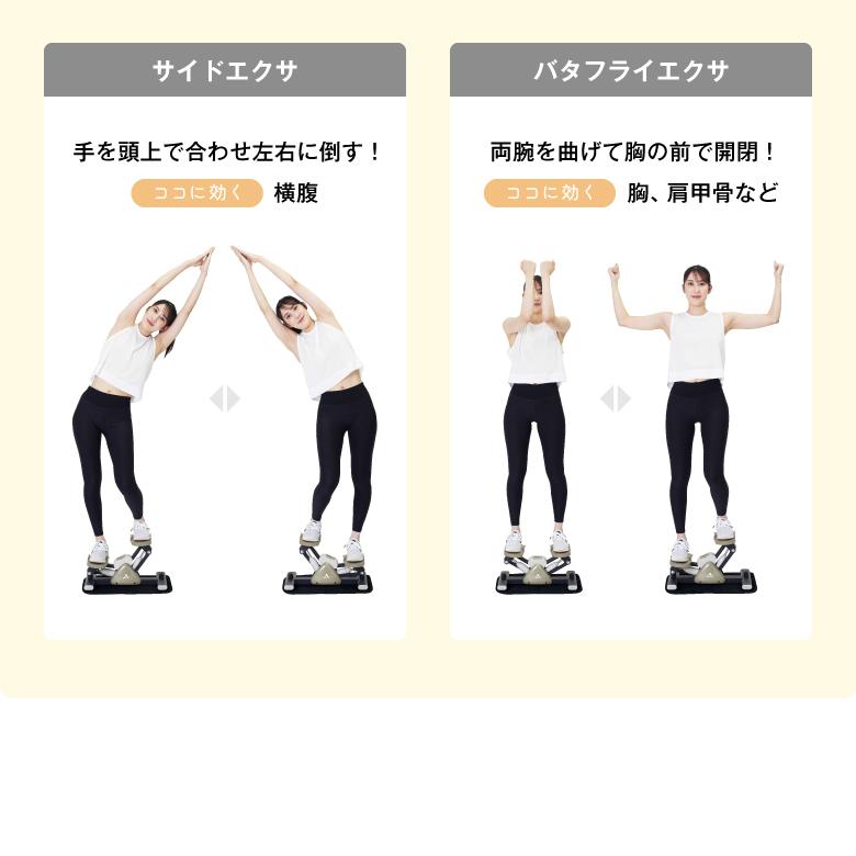 ALINCO（アルインコ） サイドステッパー FA51 フィットネス ステップ 