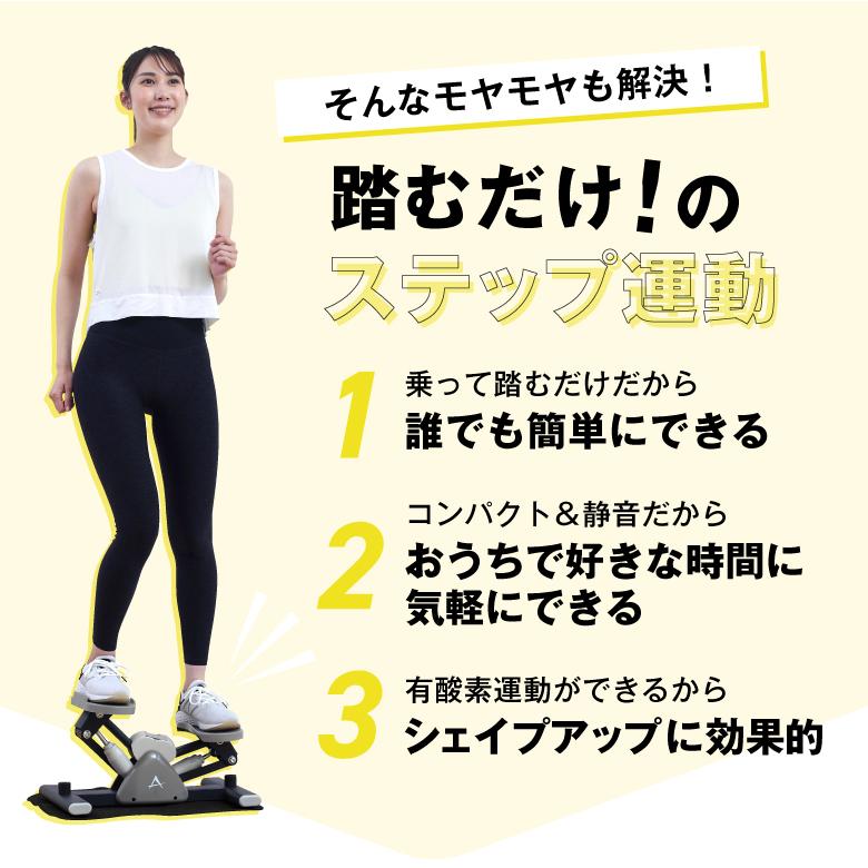 ALINCO（アルインコ） サイドステッパー FA51 フィットネス ステップ