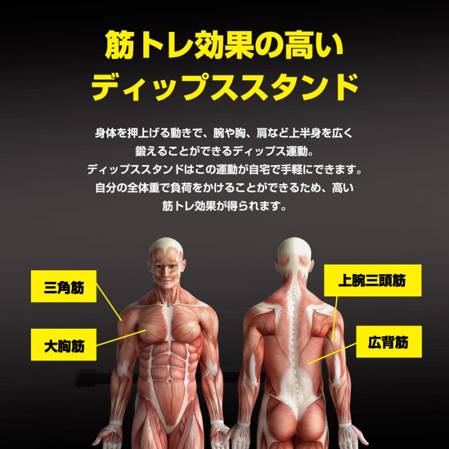 アルインコ ディップスタンド FA53 筋トレの画像