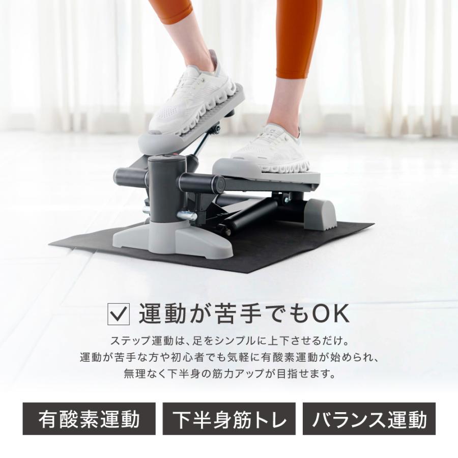 ALINCO（アルインコ） ホームステッパー FA54 フィットネス ステップ