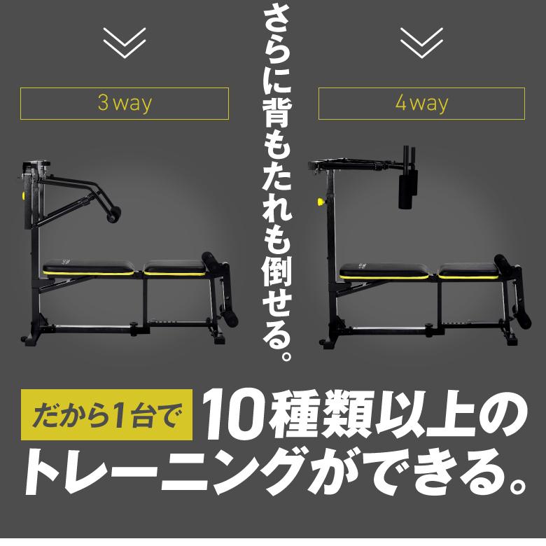 ALINCO（アルインコ） マルチワークアウトジム FAG2022 フィットネス