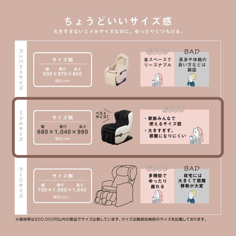 ALINCO（アルインコ） 大型特殊便 沖縄・離島代引不可 マッサージ