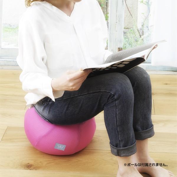 ALINCO（アルインコ） バランスボール カバー 30cm用 洗える