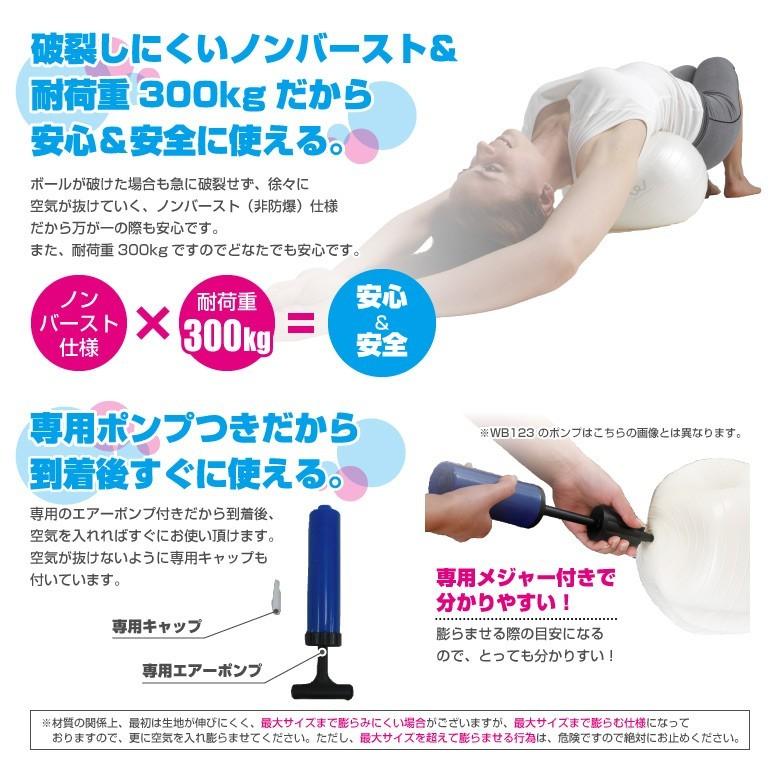 アルインコ エクササイズボール30cm Wb123 健康器具 Funny Fitness Paypayモール店 通販 Paypayモール