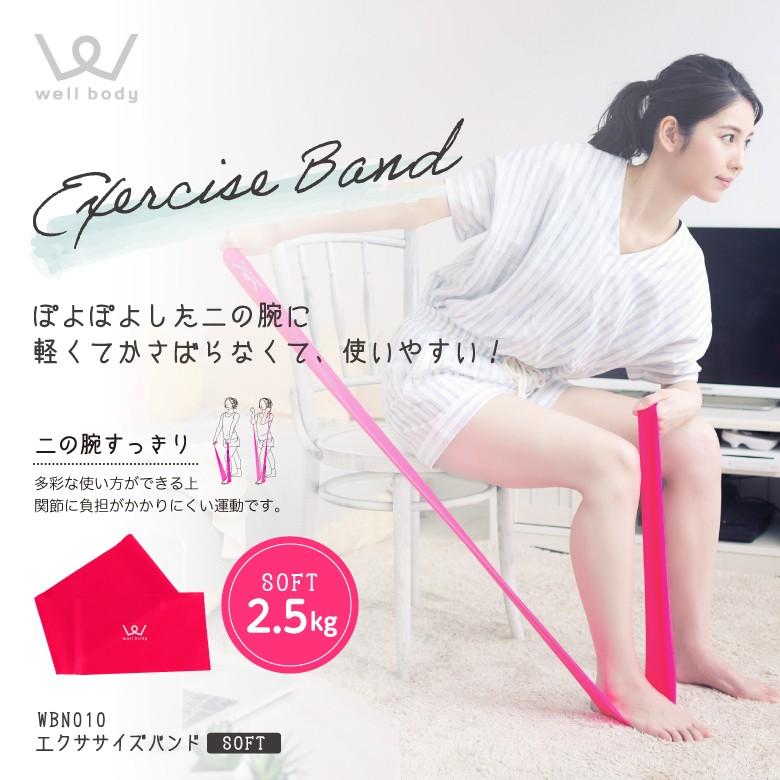 ALINCO（アルインコ） クロネコゆうパケット対象 エクササイズバンド