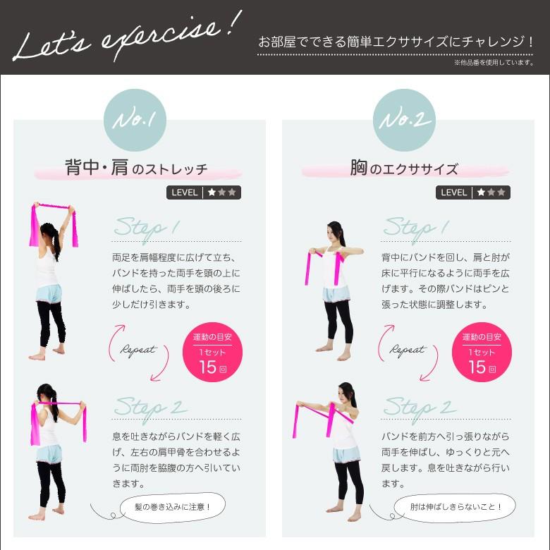 ALINCO（アルインコ） クロネコゆうパケット対象 エクササイズバンド