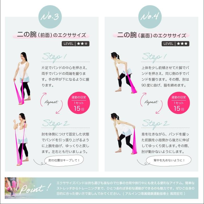 ALINCO（アルインコ） クロネコゆうパケット対象 エクササイズバンド
