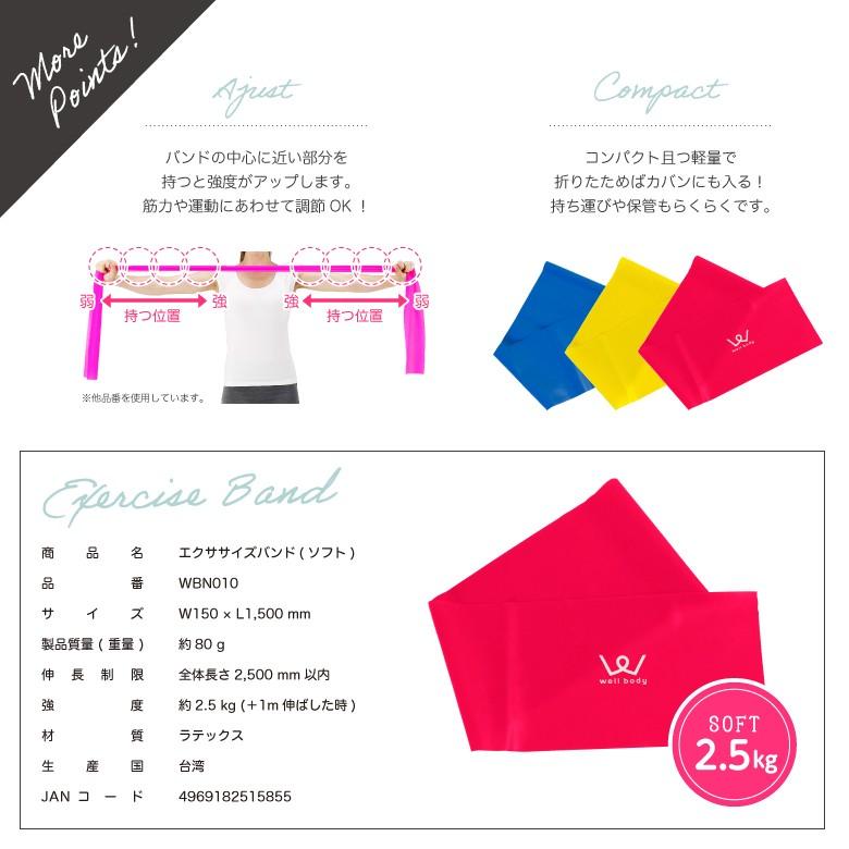 ALINCO（アルインコ） クロネコゆうパケット対象 エクササイズバンド