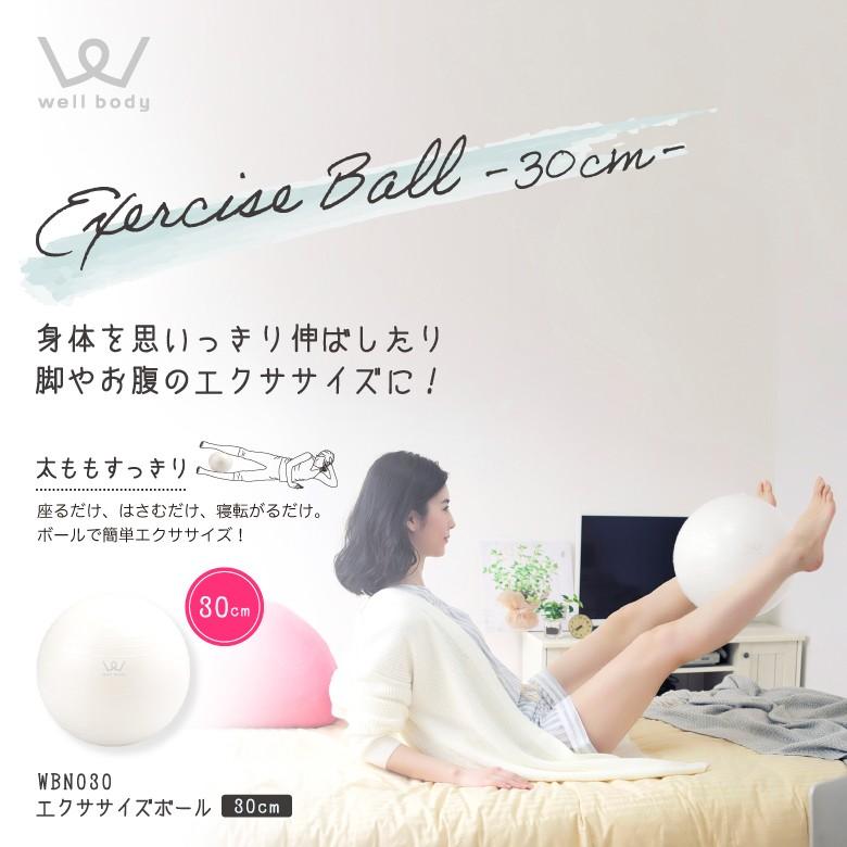 アルインコ エクササイズボール 30cm Wbn030 健康器具 Funny Fitness Paypayモール店 通販 Paypayモール