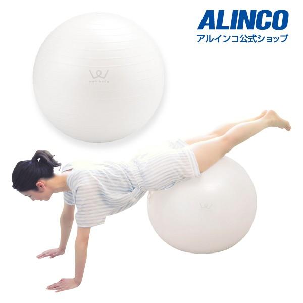 アルインコ エクササイズボール 65cm Wbn065 健康器具 Wbn065 Funny Fitness Yahoo 店 通販 Yahoo ショッピング