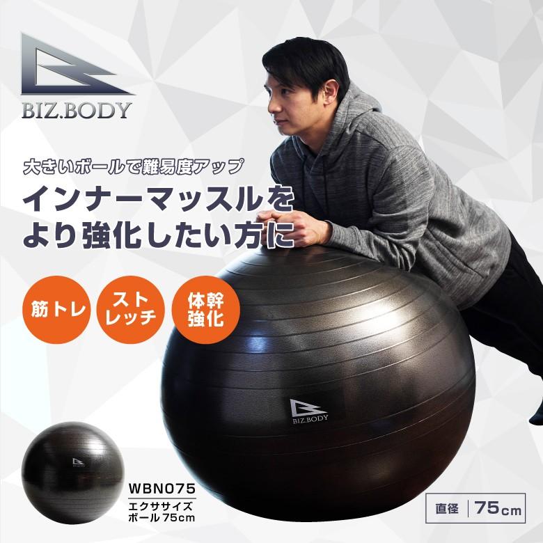 バランスボール エクササイズボール 75cm WBN075 ポンプ付き ヨガ 体幹 腹筋 トレーニング アルインコ｜a-fitness｜02