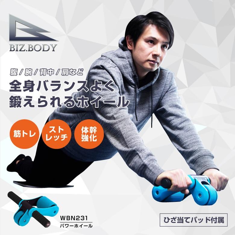 ALINCO（アルインコ） 腹筋ローラー アブローラー ひざパッド付