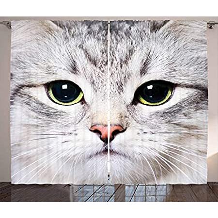 特別価格ambesonne Animal Decorationsコレクション かわいい猫印刷子猫close Up Animal Store Portrait画像可愛いペットデザイン B01dyc7wga Storeの特別価格ambesonne A Gen Decorationsコレクション かわいい猫印刷子猫close 窓好評販売中 オンライン 購入